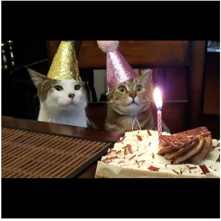 2Pcs/set Pet Dogs Caps With Bowknot Cat Dog Birthday Costume Sequin Design Headwear Cap Hat Christmas Party Pets Accessories