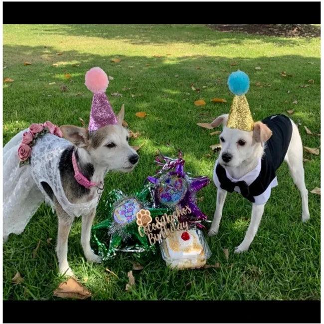 2Pcs/set Pet Dogs Caps With Bowknot Cat Dog Birthday Costume Sequin Design Headwear Cap Hat Christmas Party Pets Accessories