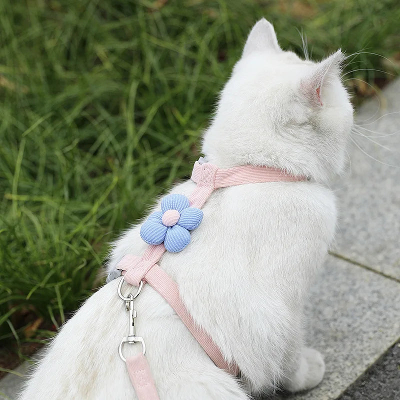 Cat Harness and Leash Sets Adjustable Dog Harness for Small Dog Leash Breashable Pet Harness Out Walking Dog Strap Cat Accessory