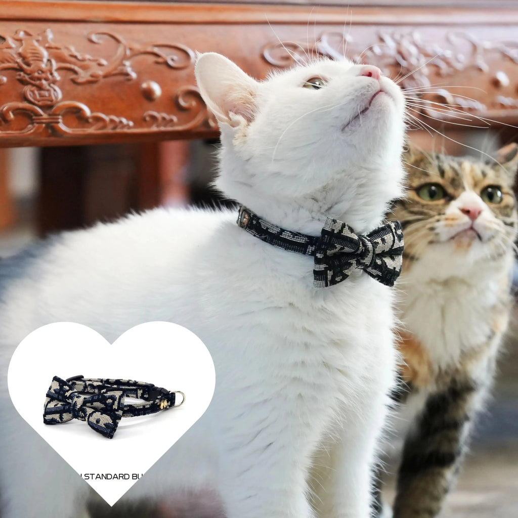 Pet Stuff Accesories Cats Items Detachable Collar Series Accessories Dogs Collars Guides Supplies Leash Kittens Pets