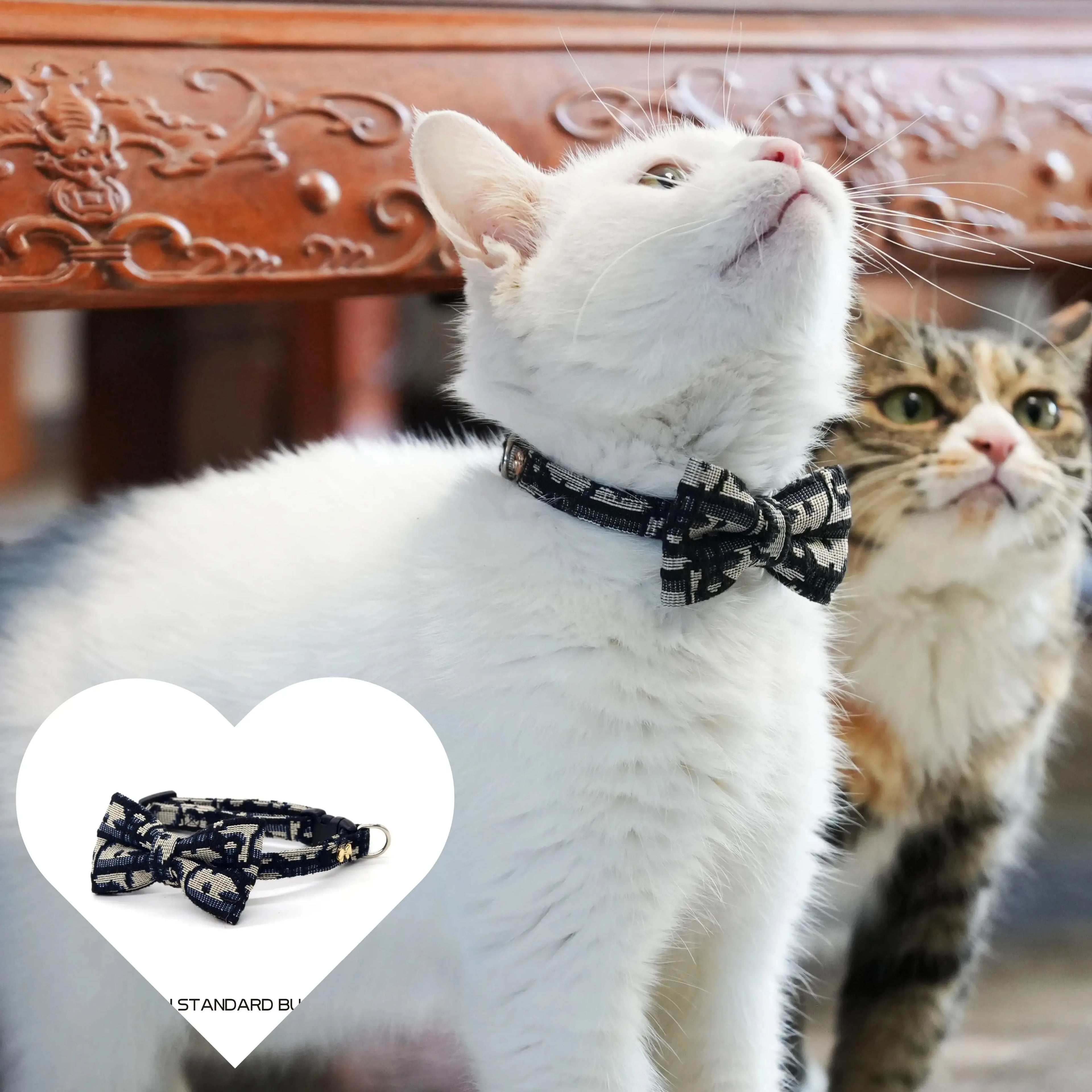 Pet Stuff Accesories Cats Items Detachable Collar Series Accessories Dogs Collars Guides Supplies Leash Kittens Pets
